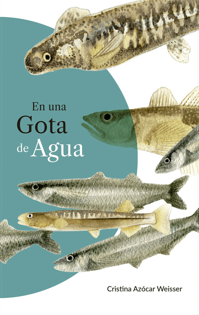 Cristina Azócar Weisser, En una gota de&nbsp;agua